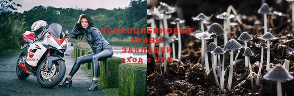 MESCALINE Арсеньев