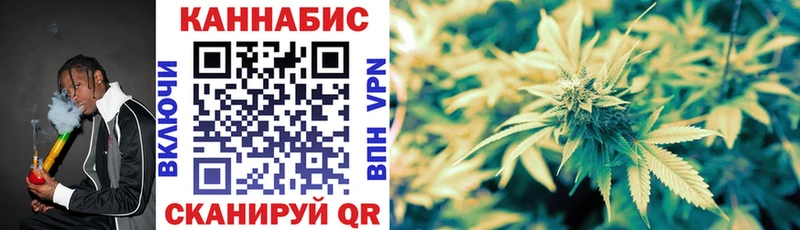 omg   Петровск  Канабис Ganja  наркошоп 